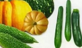 吃瓜网 吃瓜网官网,官方揭秘，带你领略吃瓜界的风云变幻